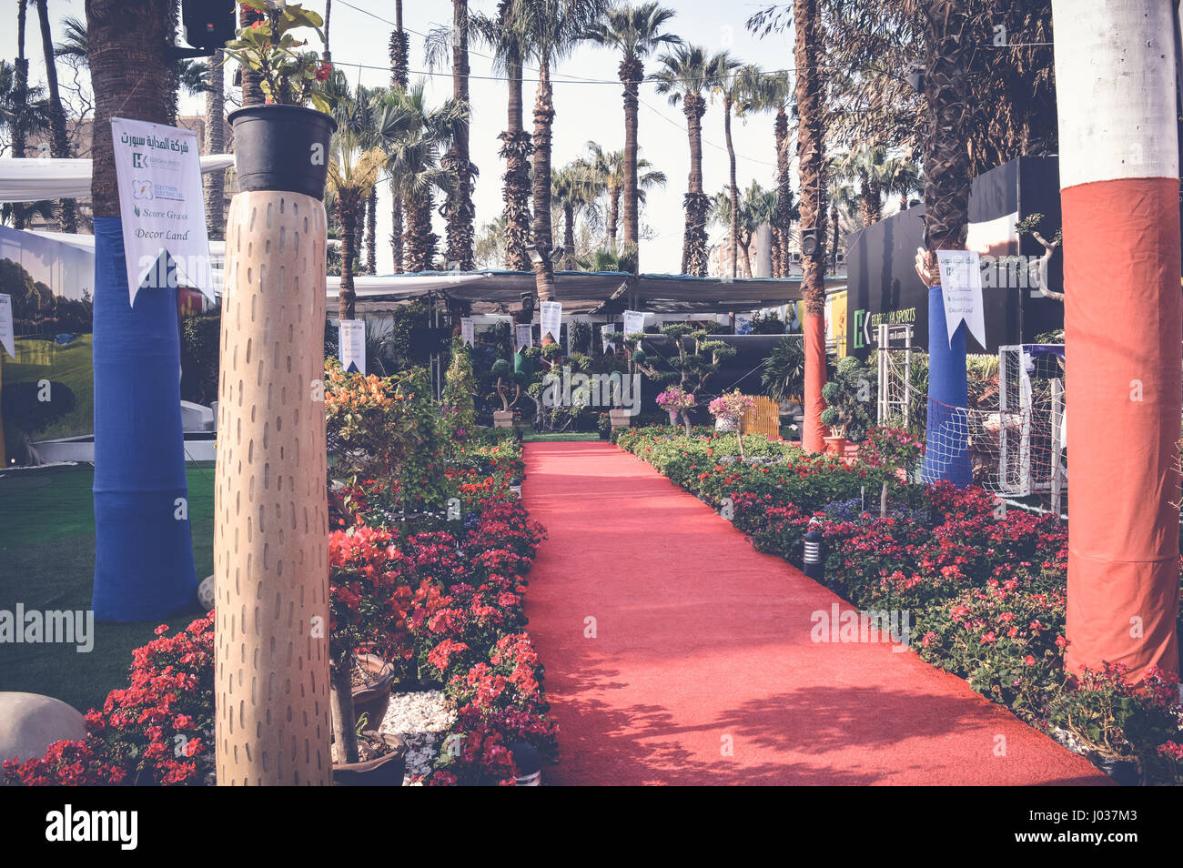 Egypt red carpet hires stock photography and images Alamy