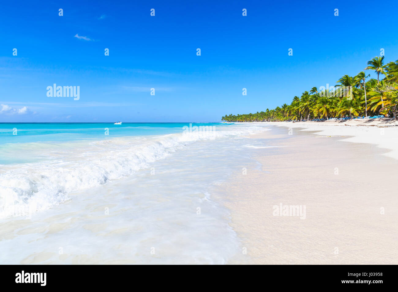 Palms trees grow on white sandy beach. Caribbean Sea, Dominican republic, Saona island coast, popular touristic resort Stock Photo