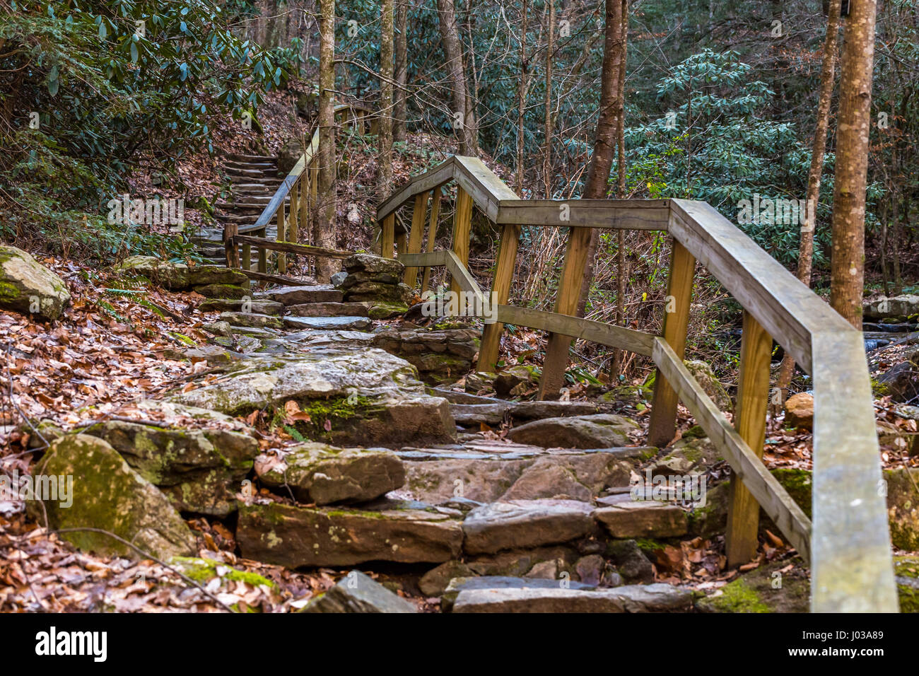 A stone walking path winds alongside Colt Creek near Saluda, North