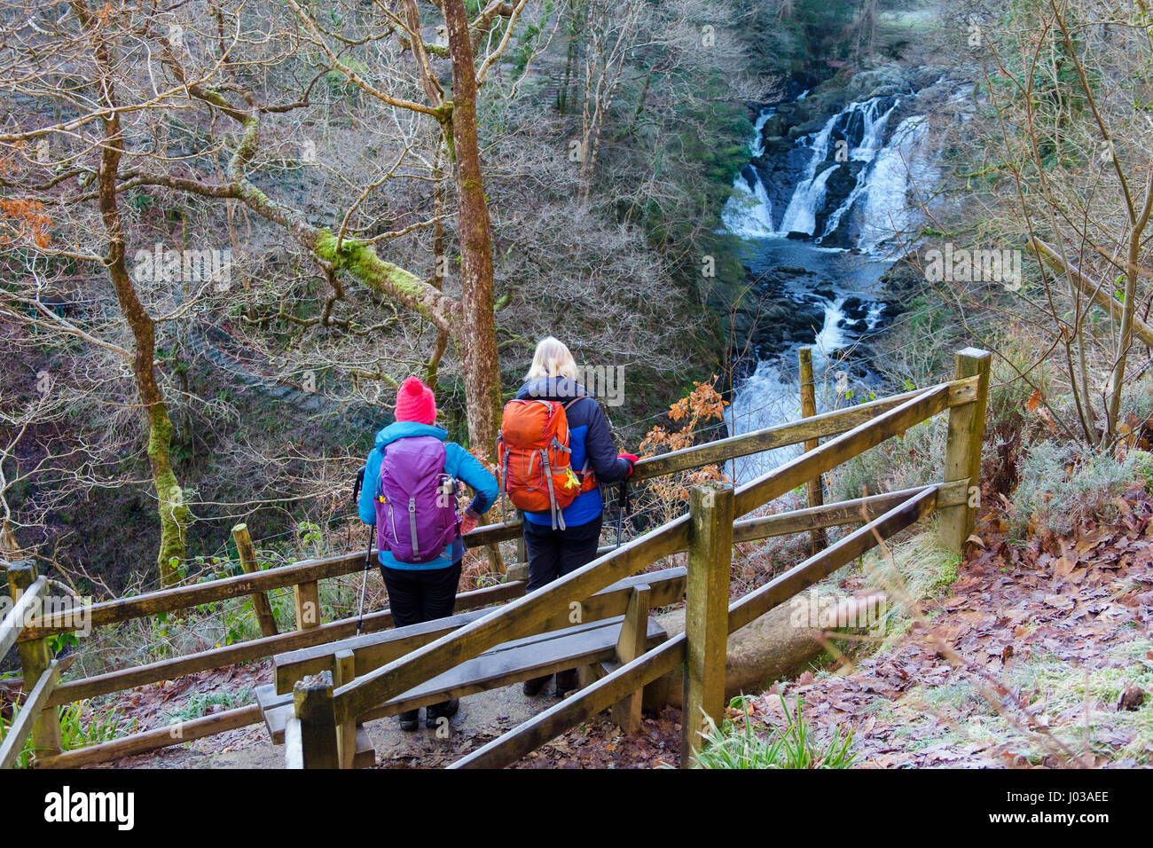 Two hikers looking at Swallow Falls (Rhaeadr Ewynnol) on Afon Llugwy River from viewpoint on northern side. Betws-y-Coed, Conwy, Wales, UK, Britain. Stock Photo