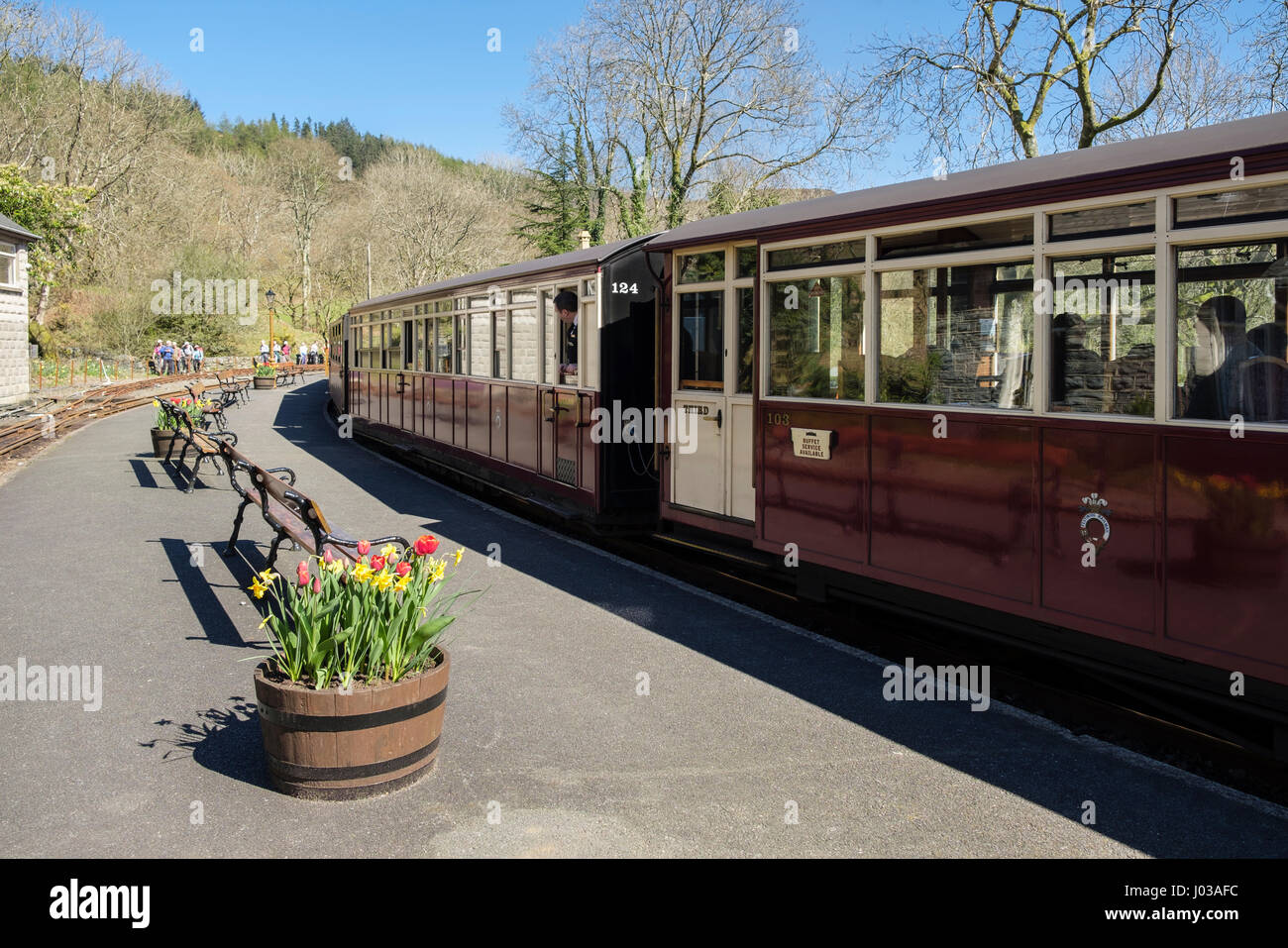 Train leaving platform in station on heritage narrow-gauge Ffestiniog Railway line at Tan-y-Bwlch, Gwynedd, North Wales, UK Stock Photo