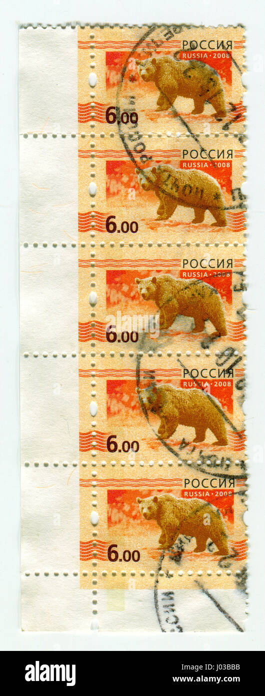 GOMEL, BELARUS, APRIL 5, 2017. Stamp printed in Russia shows image of  The Bears are carnivoran mammals of the family Ursidae, circa 2008. Stock Photo
