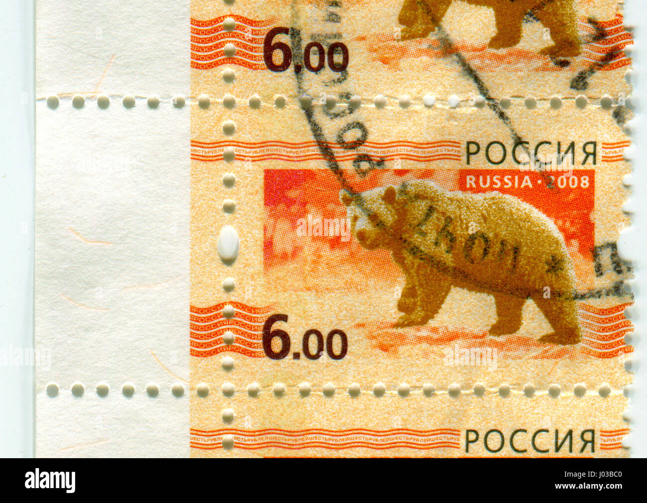 GOMEL, BELARUS, APRIL 7, 2017. Stamp printed in Russia shows image of  The Bears are carnivoran mammals of the family Ursidae, circa 2008. Stock Photo