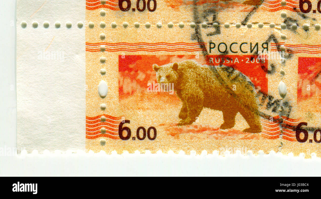 GOMEL, BELARUS, APRIL 7, 2017. Stamp printed in Russia shows image of  The Bears are carnivoran mammals of the family Ursidae, circa 2008. Stock Photo
