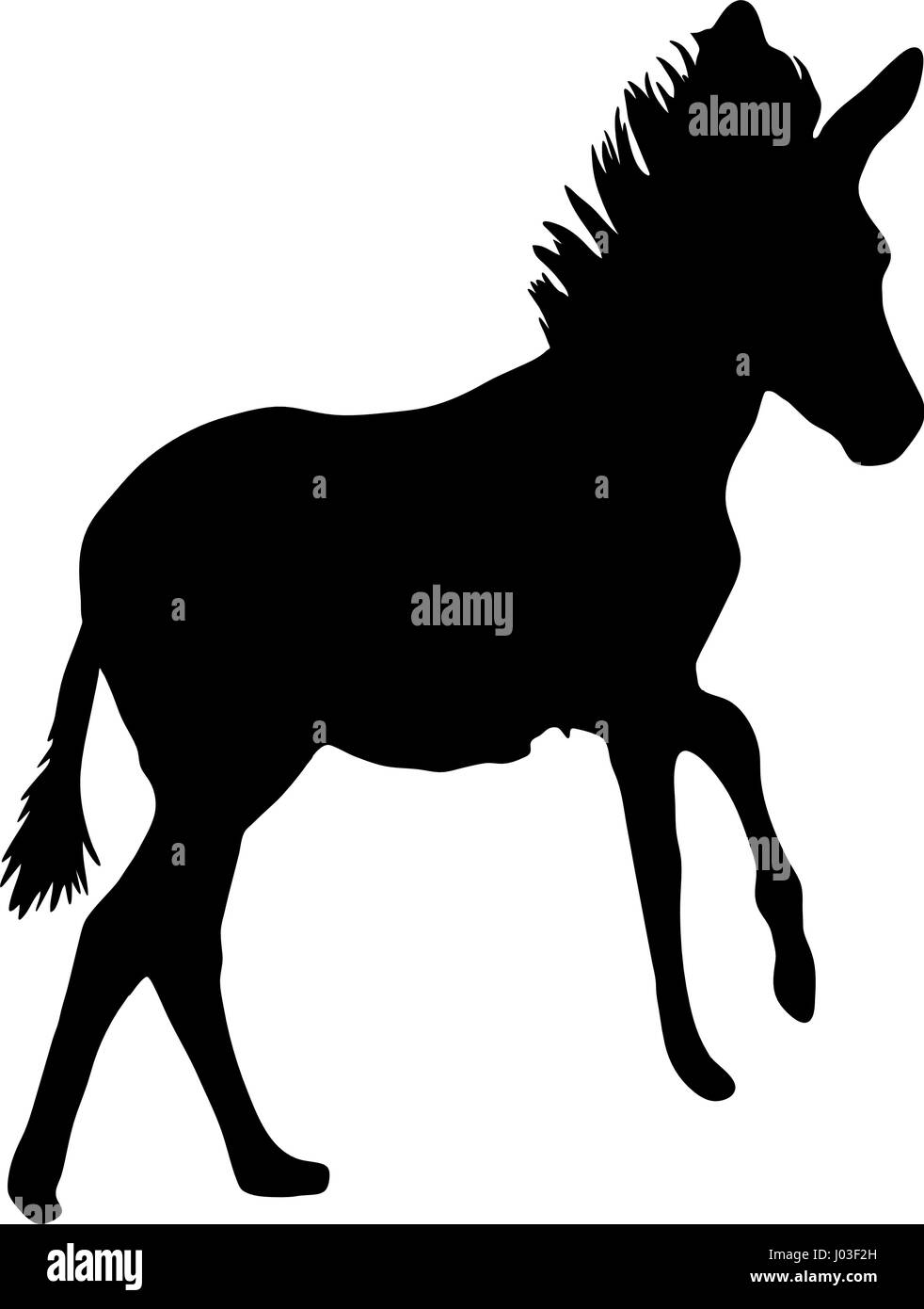 Hand drawn silhouette of a wild zebra on the run Stock Vector Image ...