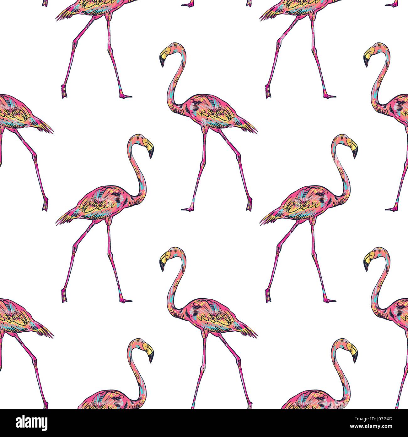 Pink flamingo vector illustration Stock Vector Image & Art - Alamy