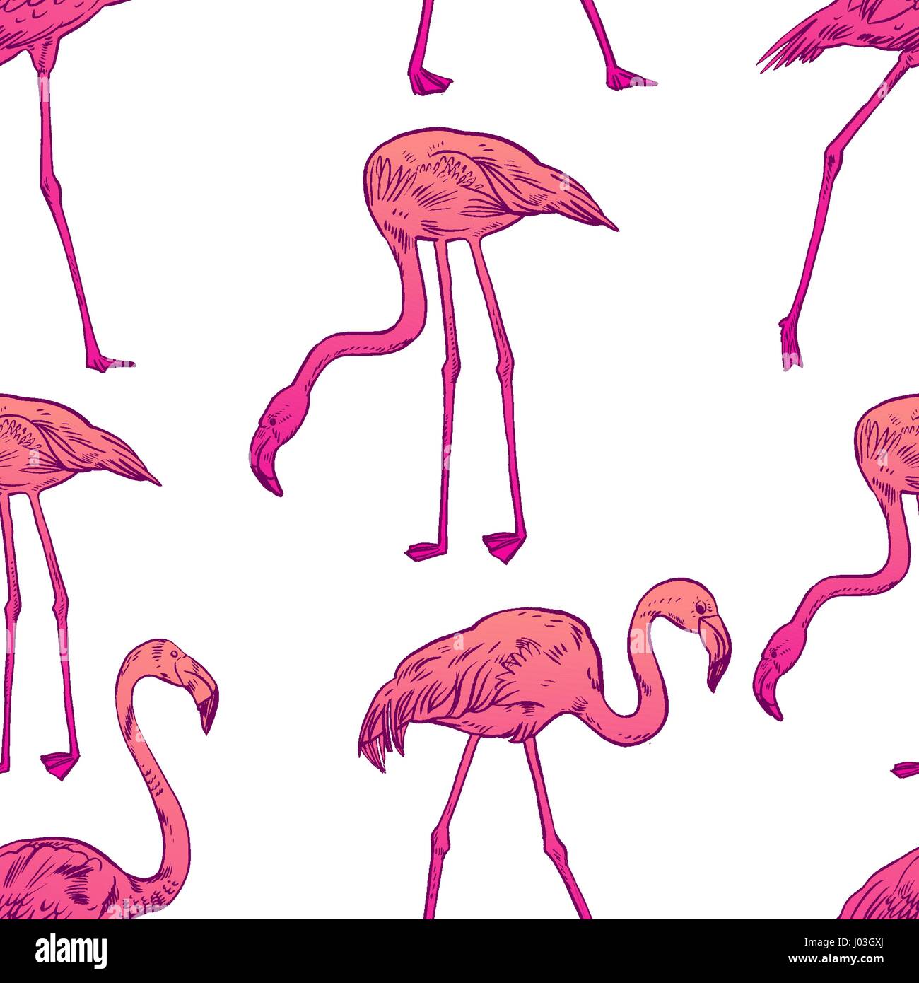 Pink flamingo vector illustration Stock Vector Image & Art - Alamy