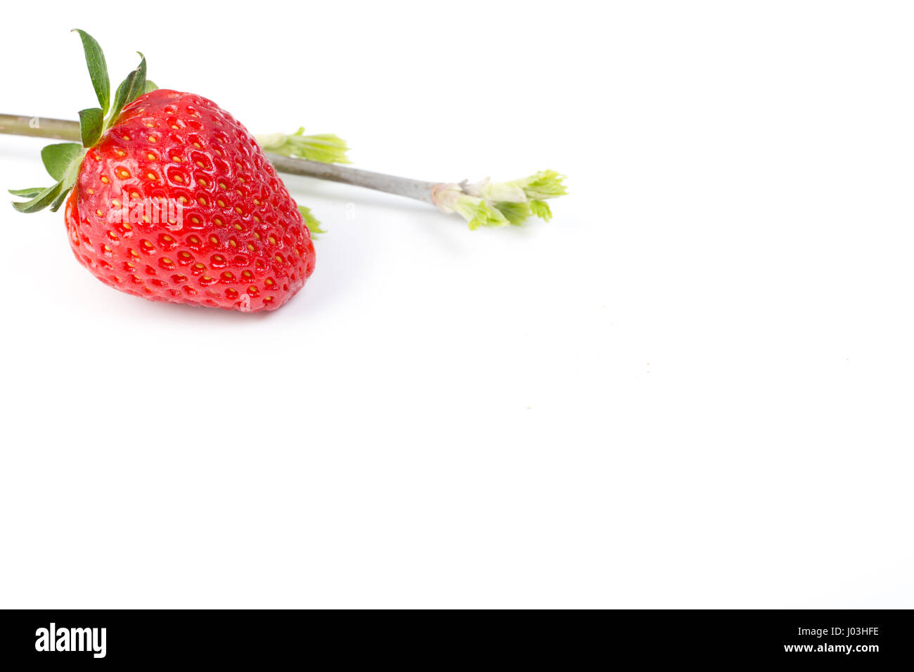 Fresh ripe strawberry isolated on white background Stock Photo - Alamy