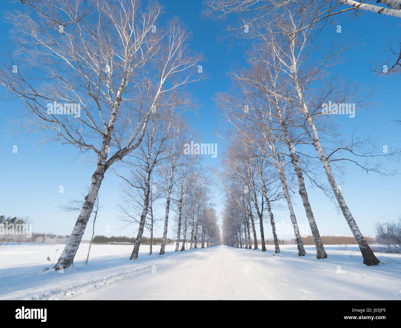 Soft road hi-res stock photography and images - Alamy