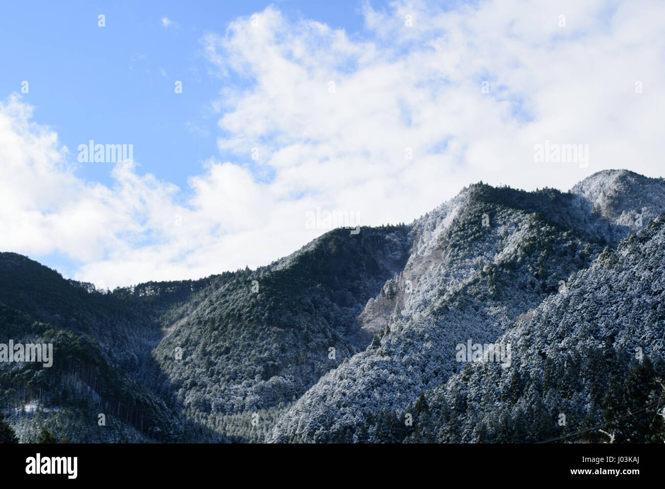 Trees and blue sky in winter Stock Photo - Alamy