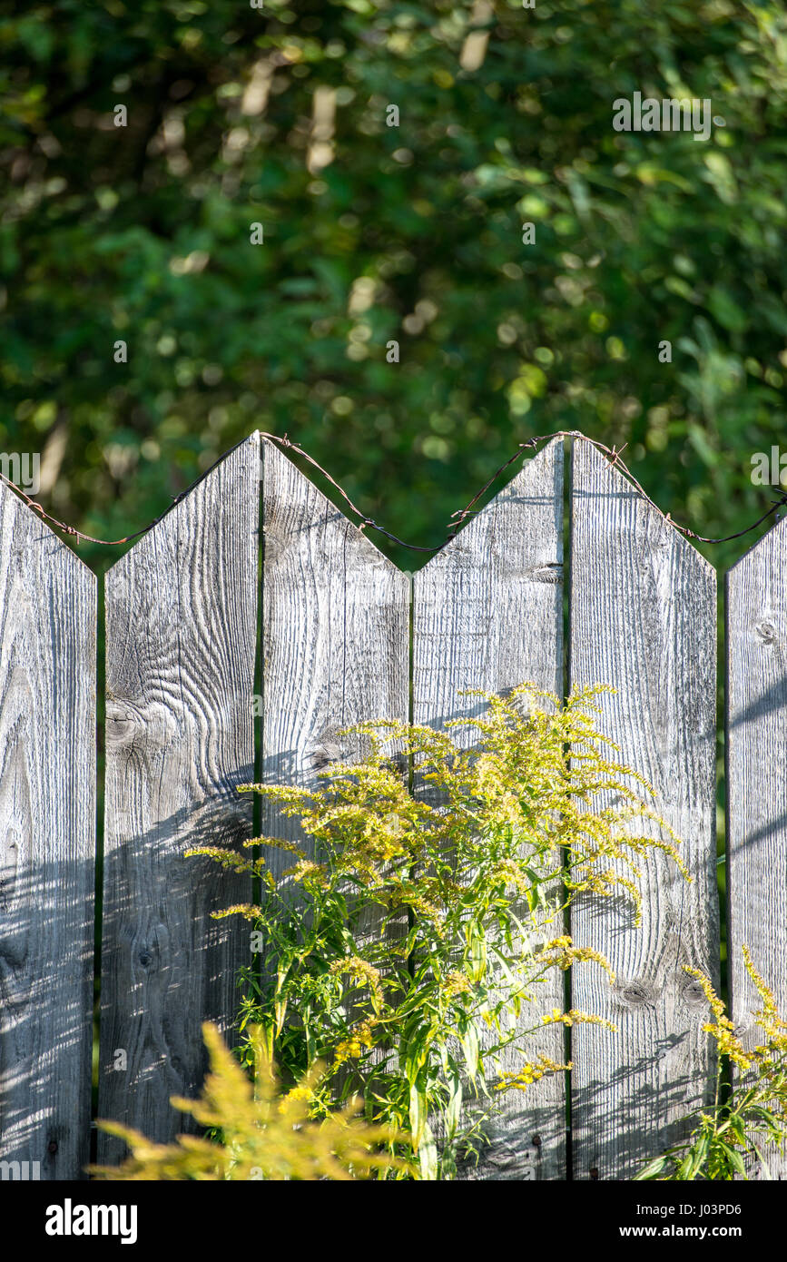 old wooden fence with barbed wire on top Stock Photo - Alamy