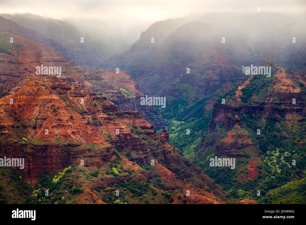Landscape view of Waimea canyon during misty cloudy weather, Kauai