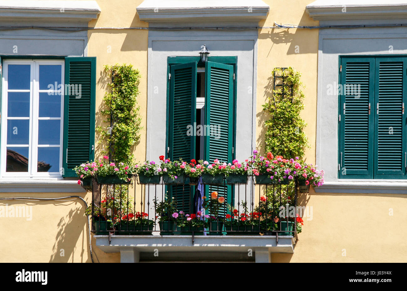 A beautiful flower decorated balcony and windows on a house in Livorno, Italy. Stock Photo