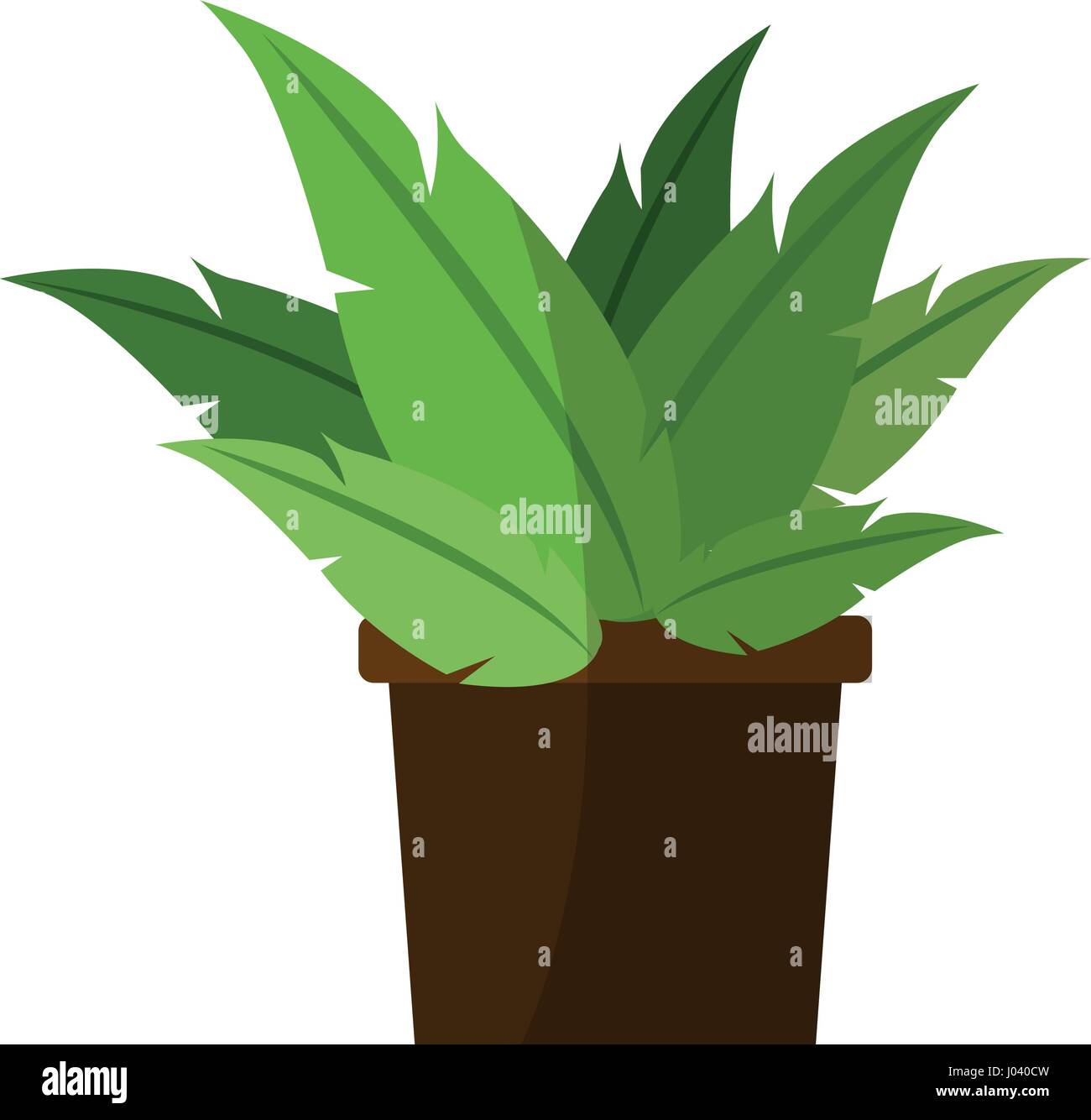 green plant in a pot Stock Vector Image & Art - Alamy