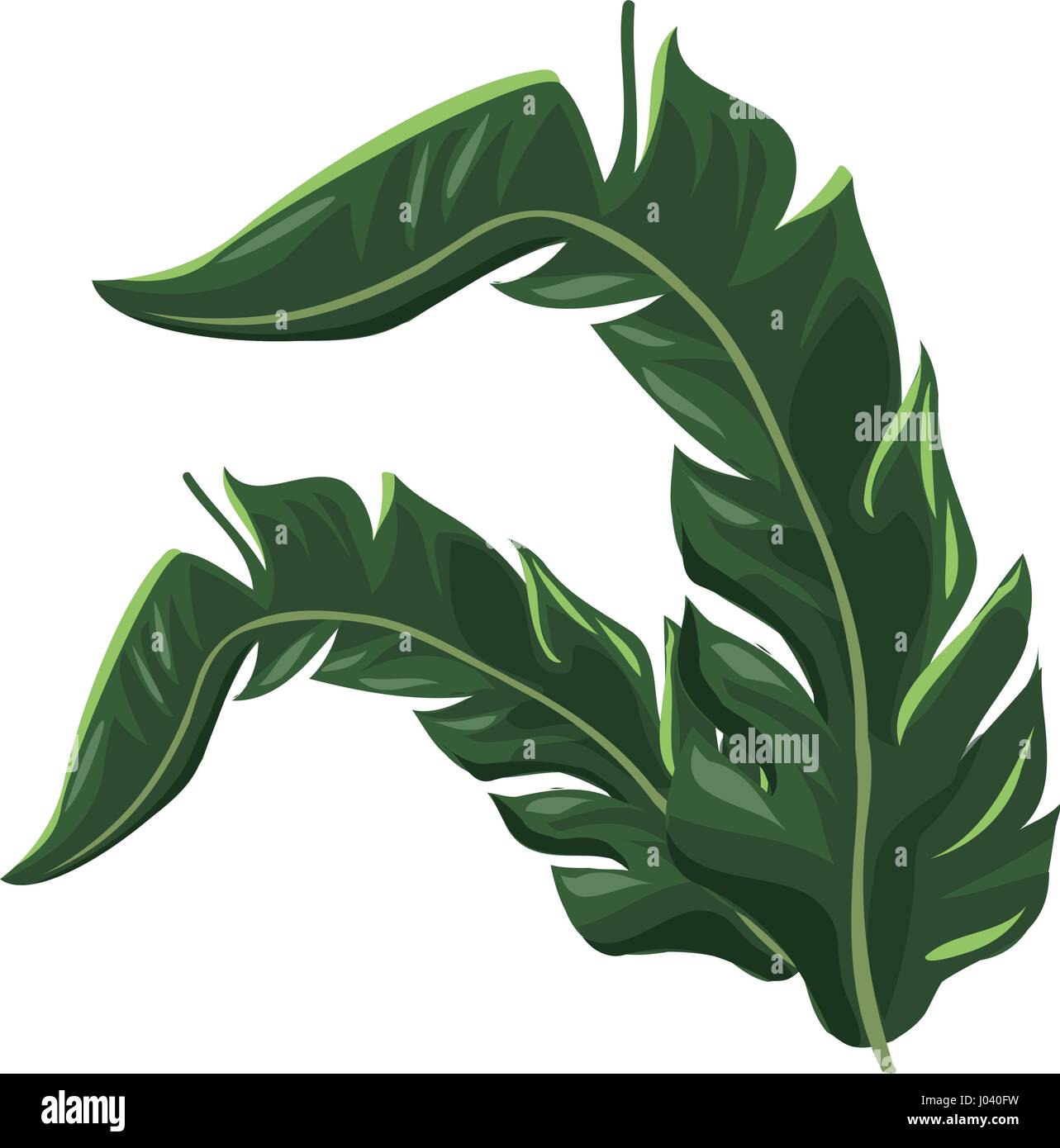 tropical leaf icon Stock Vector Image & Art - Alamy