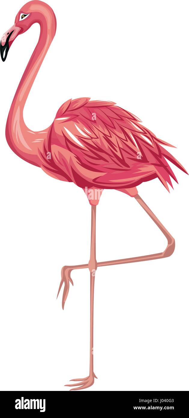 pink flamingo icon Stock Vector Image & Art - Alamy