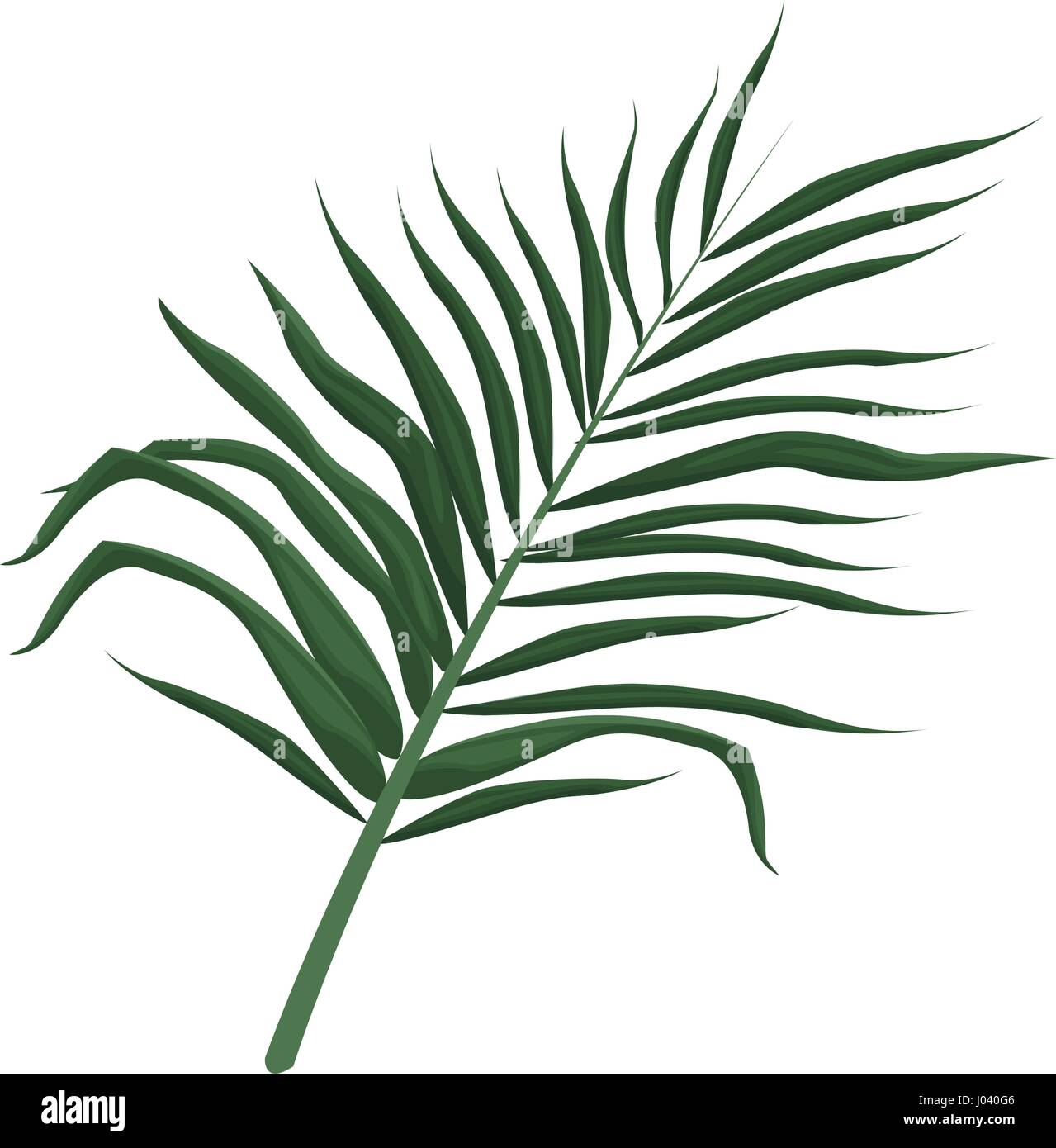 tropical leaf icon Stock Vector Image & Art - Alamy