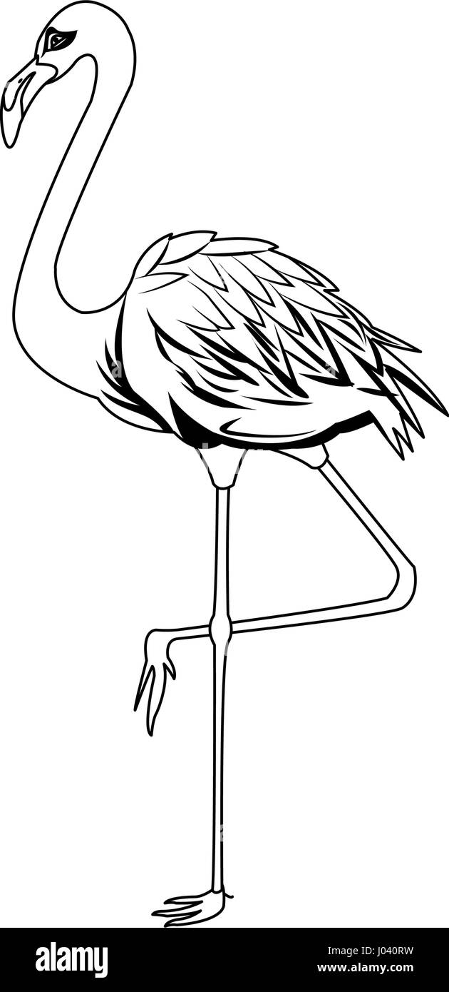 flamingo bird icon Stock Vector Image & Art - Alamy