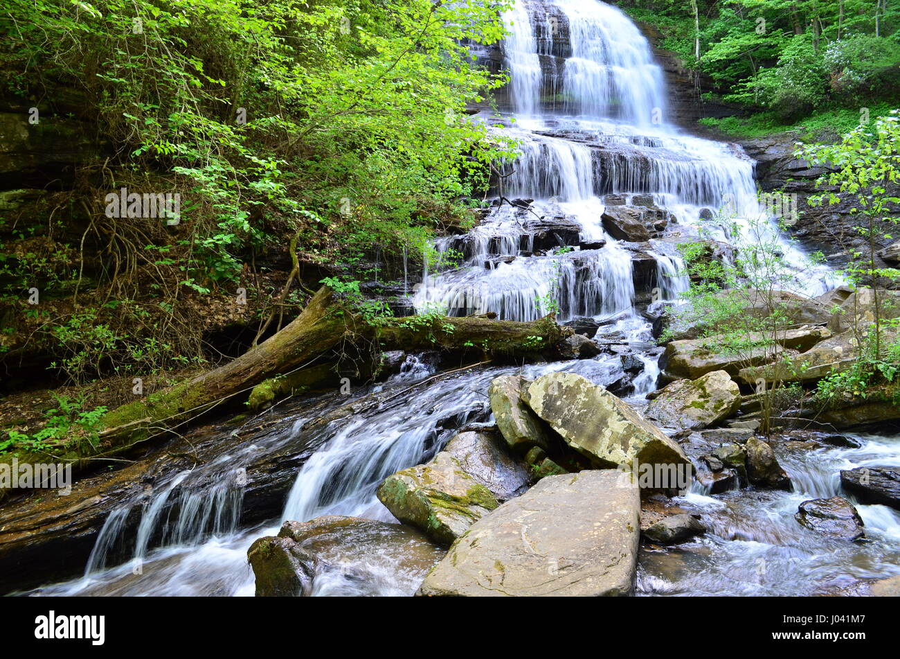 A trek to Pearson's Falls, a 90ft cascade in Western North Carolina