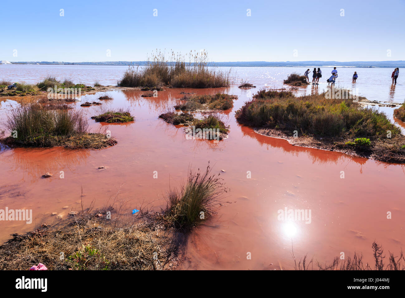 Tourists take mud baths in the pink lake of Torrevieja, Parque natural de las Lagunas de La Mata y Torrevieja, Spain Stock Photo
