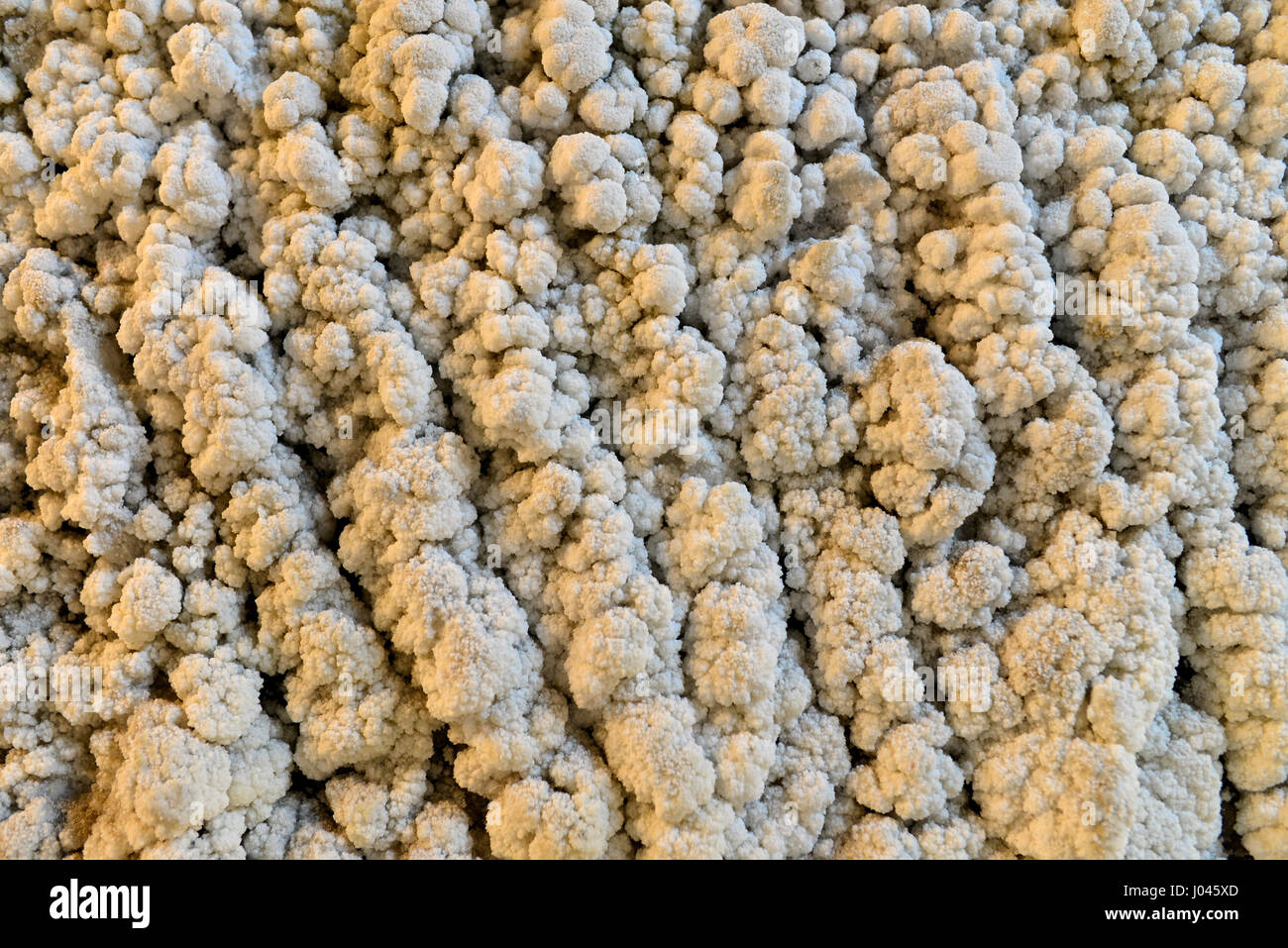 salt mine wall texture saline deposition of crystals pattern Stock ...