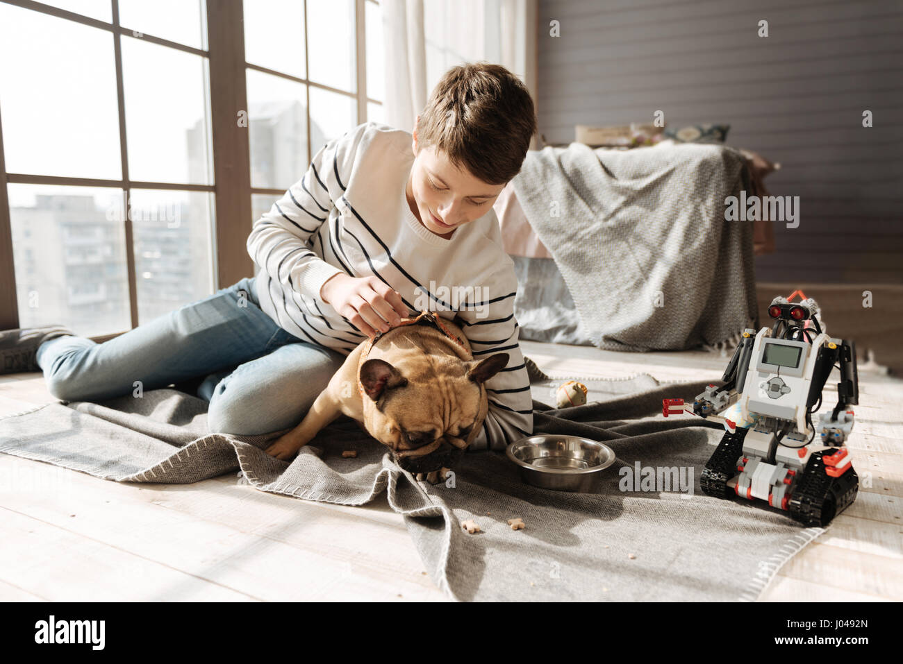 Little dog eating from the blanket Stock Photo Alamy