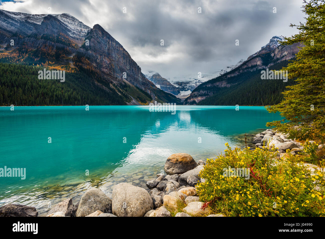 Beautiful autmn views of icon Lake Louise in Banff National Park in the ...