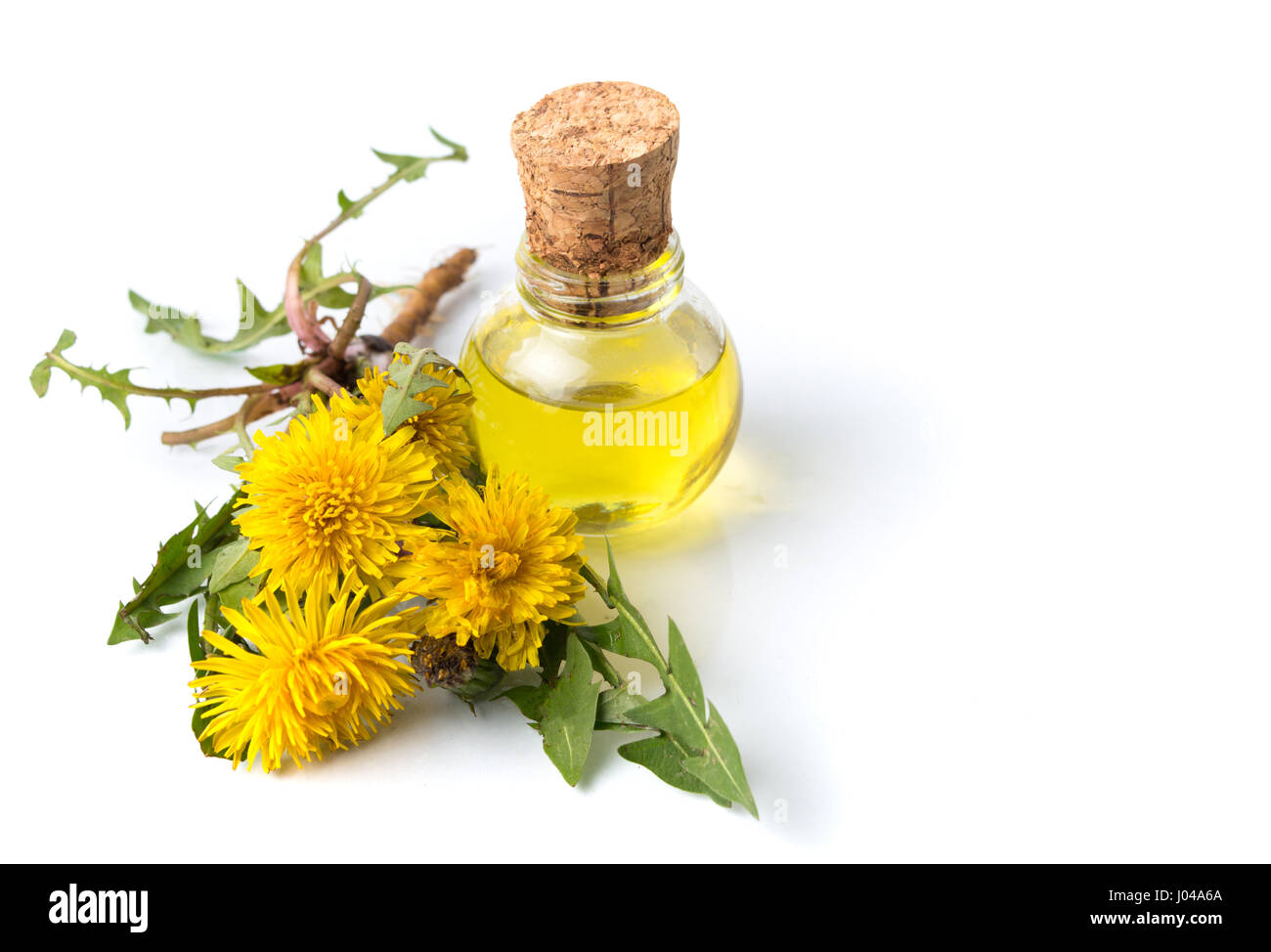 Dandelion flowers and tincture in a bottle isolated Stock Photo