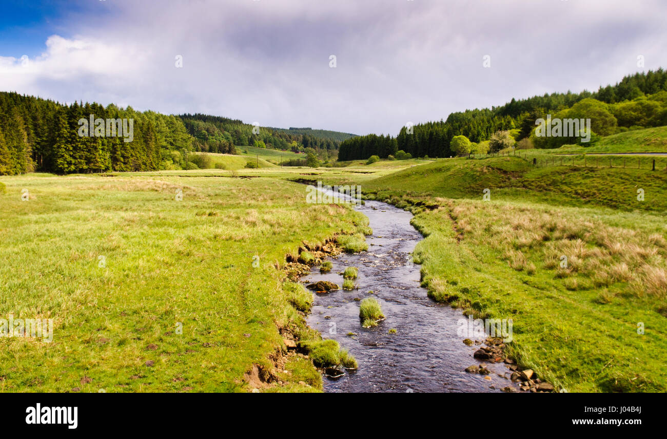 The River North Tyne surrounded by forest plantations near Kielder and the Scottish Border high in the Cheviot Hills of Northumberland. Stock Photo