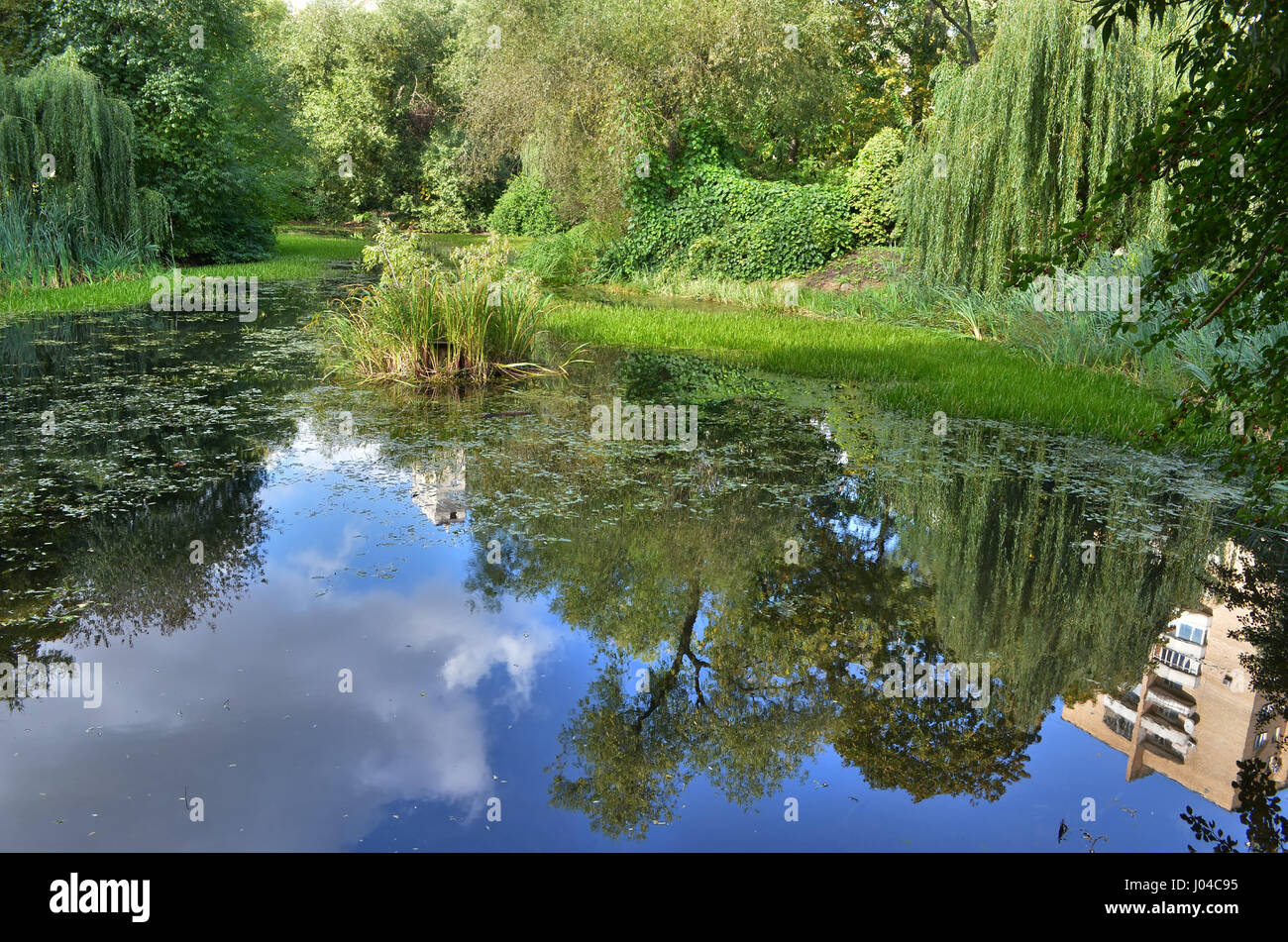 The city pond is surrounded by greenery Stock Photo - Alamy