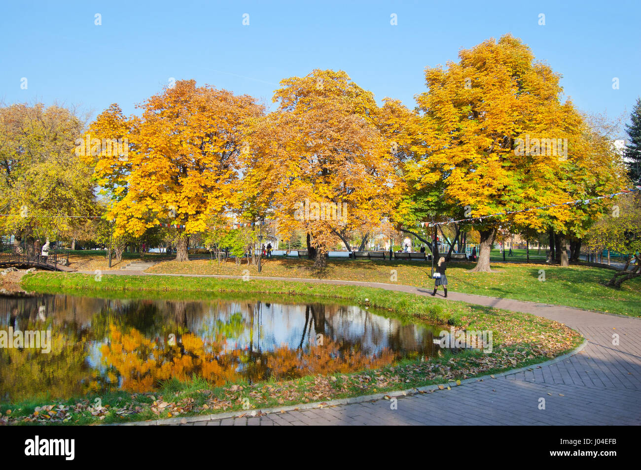 The city pond is surrounded by greenery Stock Photo - Alamy
