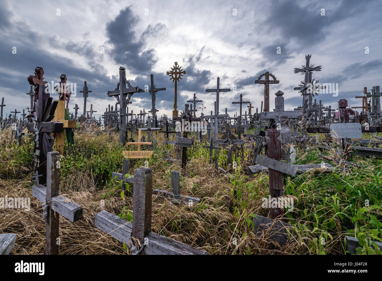 Crosses on a meadow next to Hill of Crosses in Lithuania Stock Photo