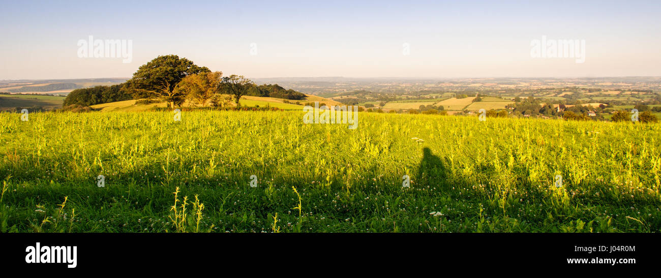 Morning light casts shadows on pasture fields on Fontmell Down hill, above the patchwork farming landscape of the Blackmore Vale in Dorset. Stock Photo