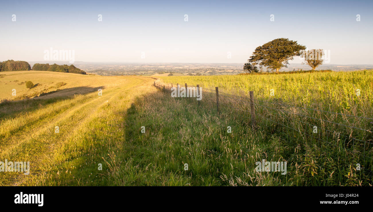 Morning light casts shadows on pasture fields on Fontmell Down hill, above the patchwork farming landscape of the Blackmore Vale in Dorset. Stock Photo