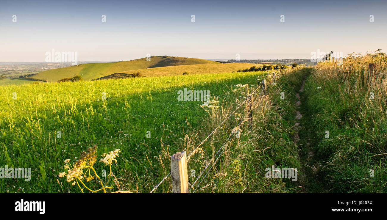 Morning light shines on a field of pasture and a footpath on the rolling landscape of Fontmell Hill above the Blackmore Vale district of north Dorset, Stock Photo