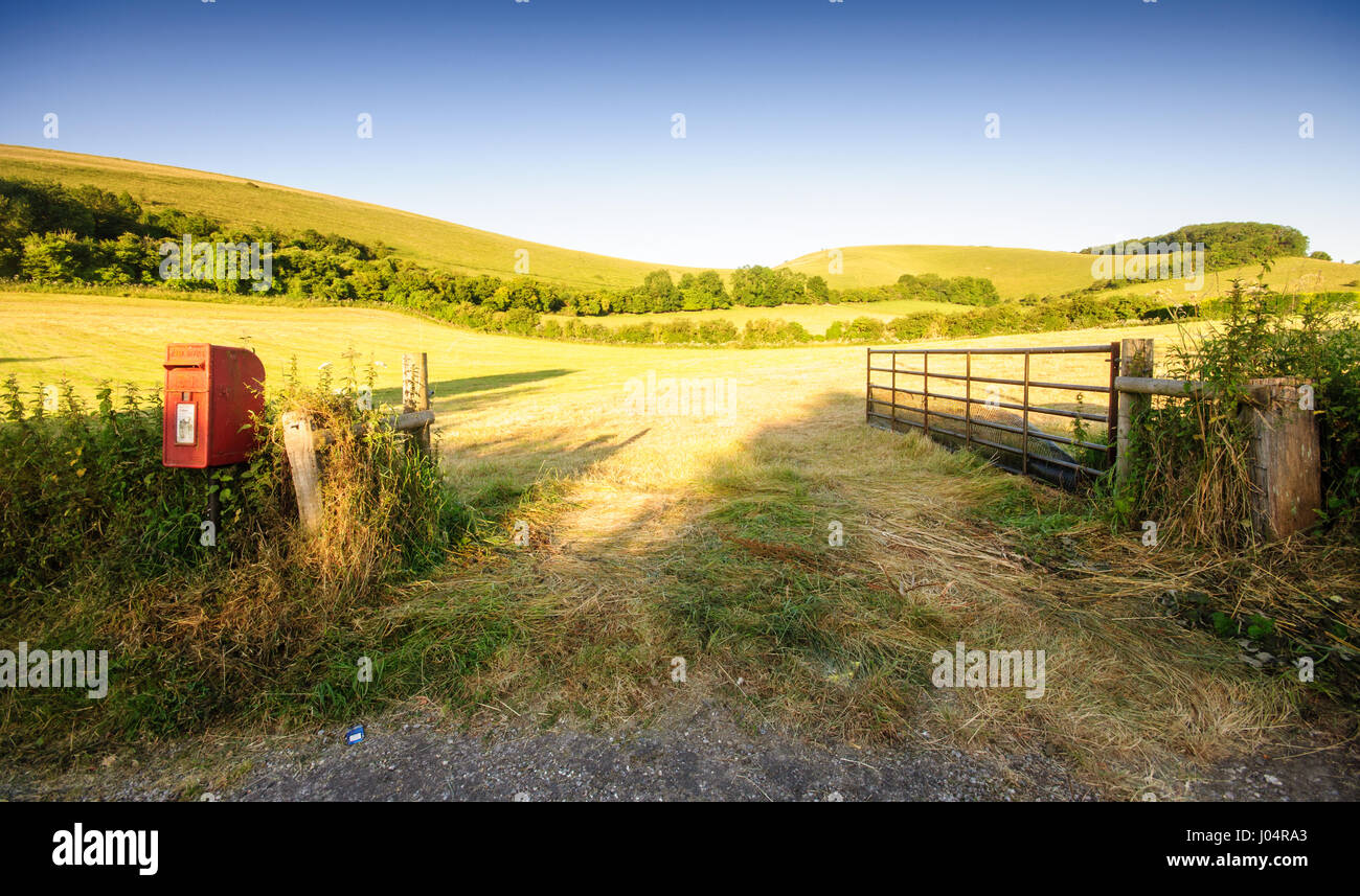Early morning sun shines on fields of pasture and crop stubble in the rolling hills of Melbury Abbas in north Dorset. Stock Photo
