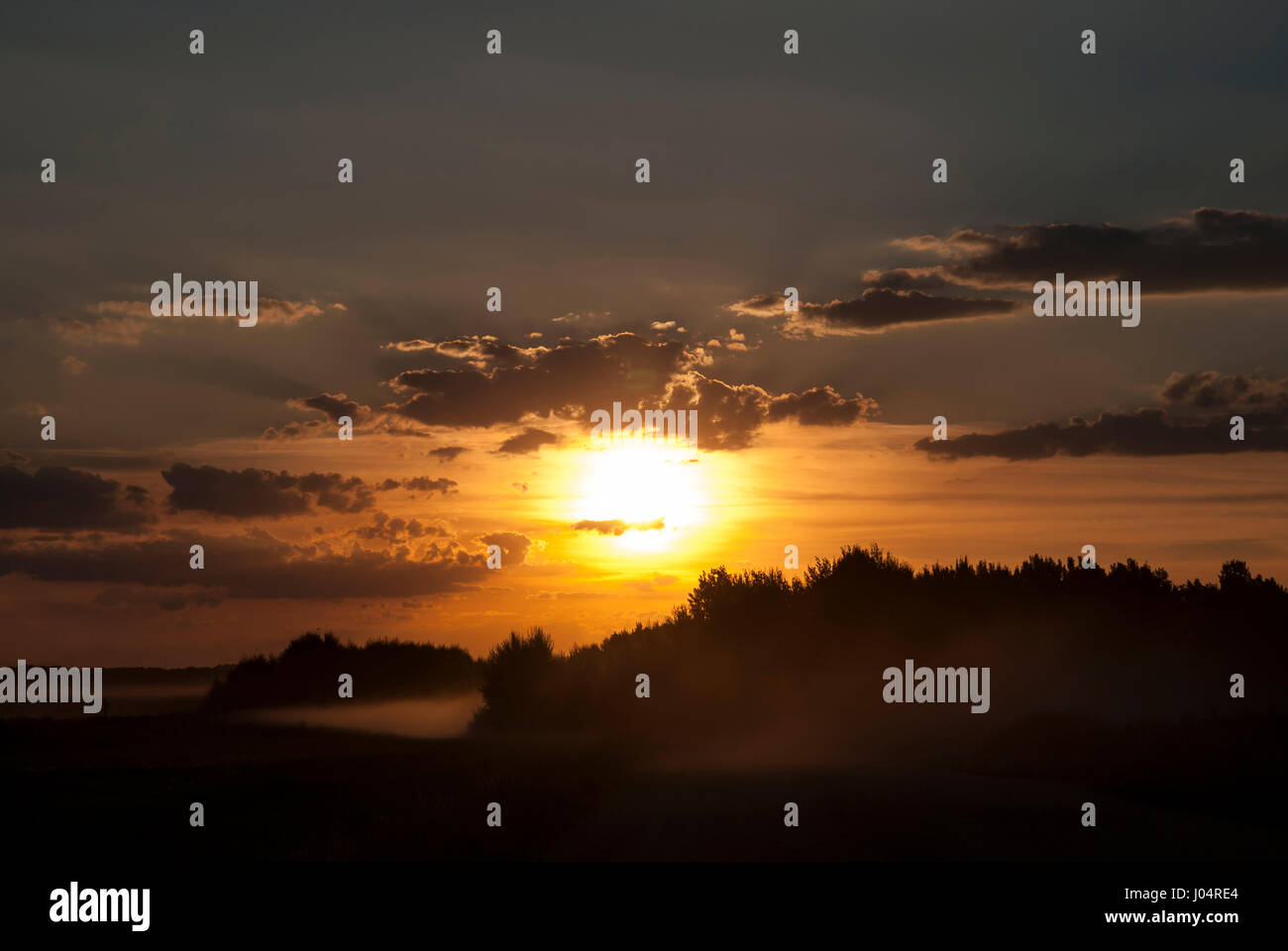Silhouette of trees at sunset Stock Photo - Alamy