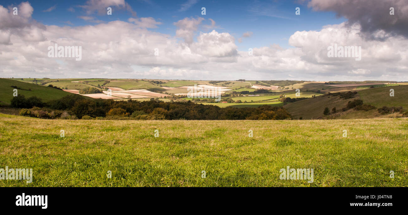 Summer sun shines on a patchwork of agricultural fields, crops and pasture near Cerne Abbas in the rolling chalk downland landscape of England's Dorse Stock Photo