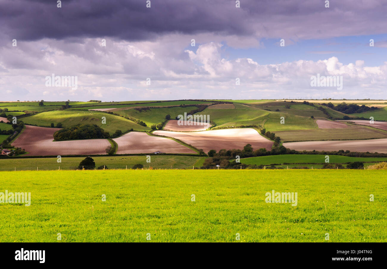 A patchwork of agriculture fields, crops and pasture line the rolling hills of England's Dorset Downs. Stock Photo