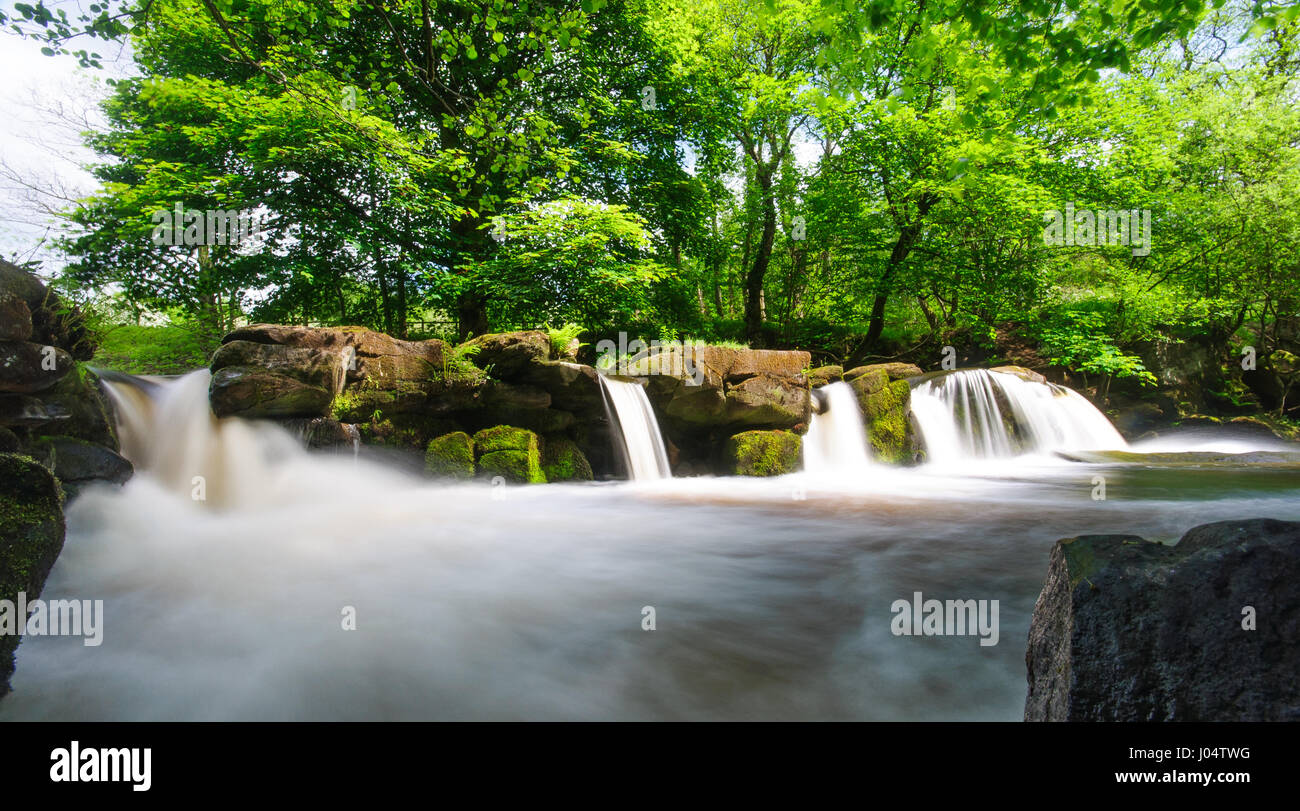 The River Derwent tumbles over waterfalls in woodland near Bamford in the Upper Derwent Valley in Derbyshire's Peak District National Park. Stock Photo