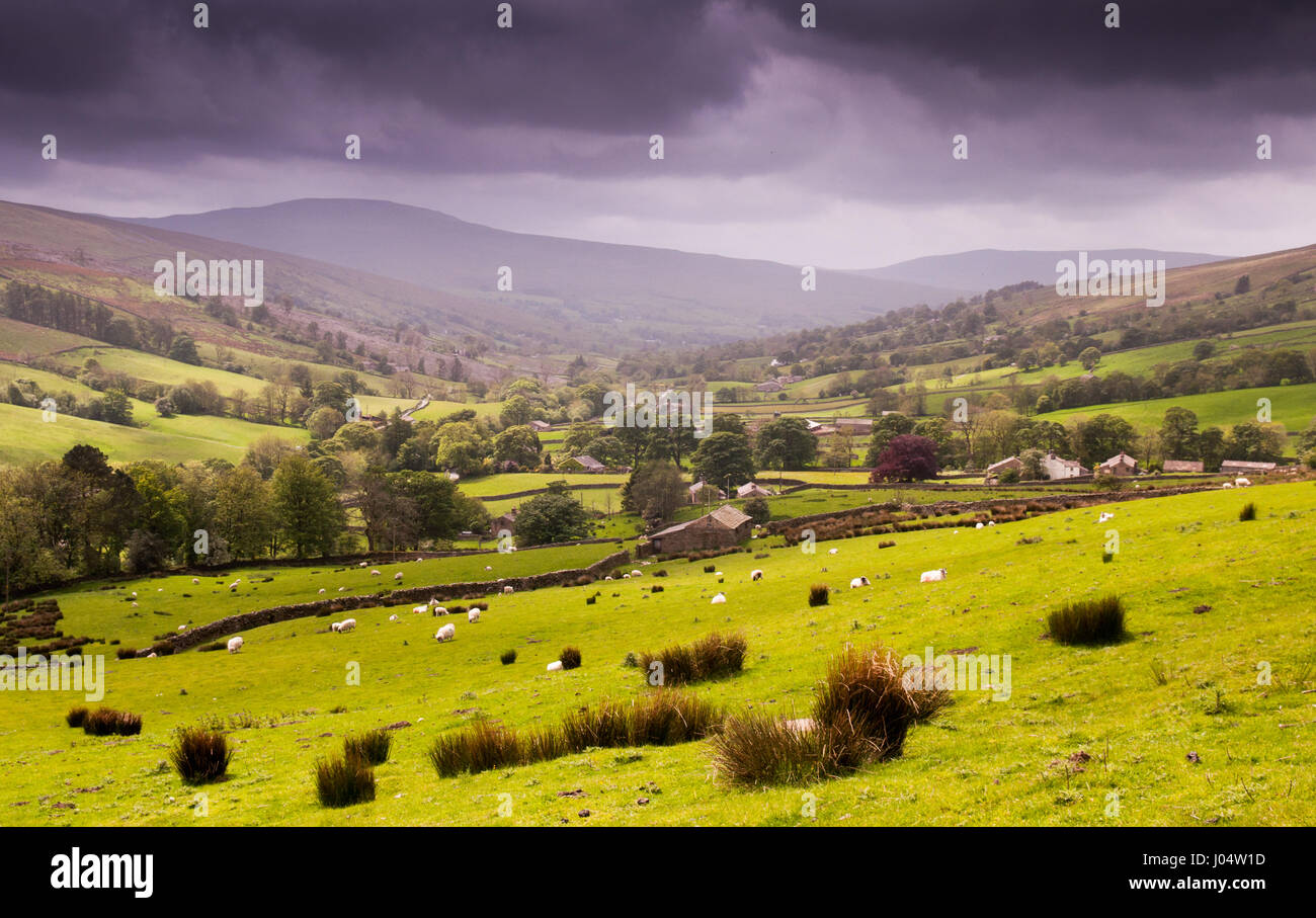 Sheep graze in pastures on the hillsides of Dendale, while a rainstorm passes through the valley, on the border of Cumbria and Yorkshire in England. Stock Photo