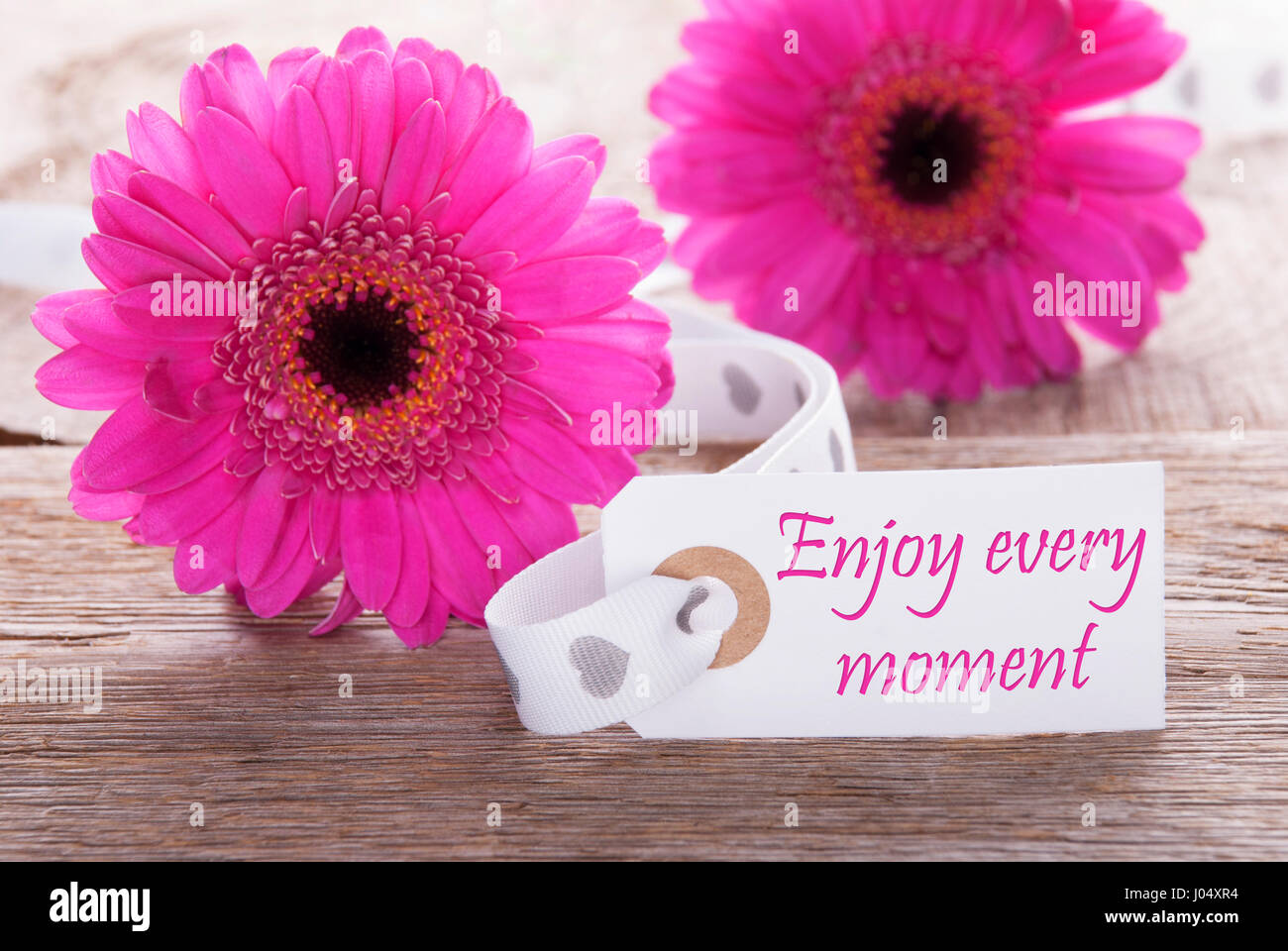 Label With English Quote Enjoy Every Moment Pink Spring Gerbera Blossom Vintage Rutic Or Aged Wooden Background Card For Spring Greetings Stock Photo Alamy