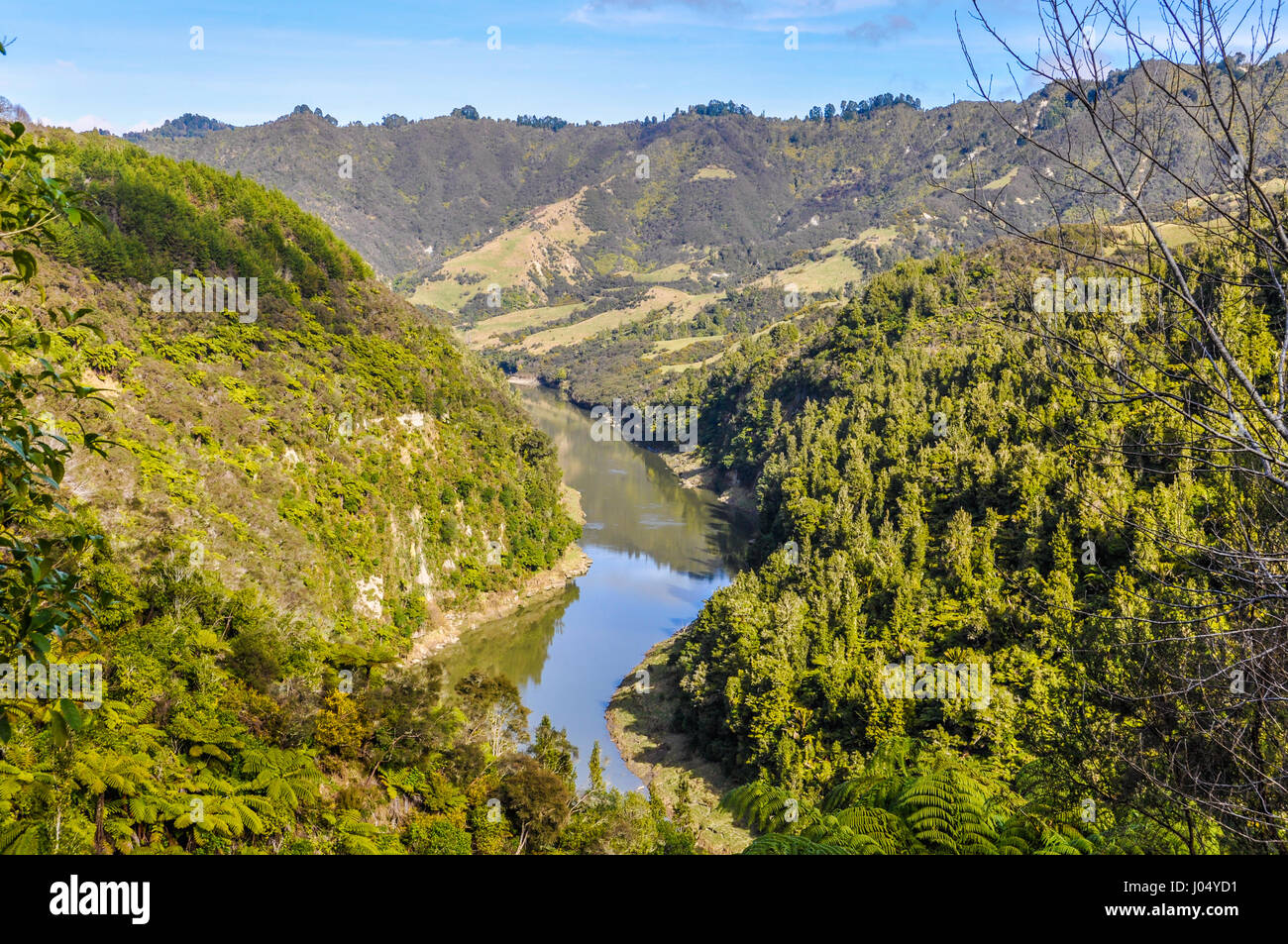 View of the river in the Whanganui National Park, North Island of New Zealand Stock Photo Alamy