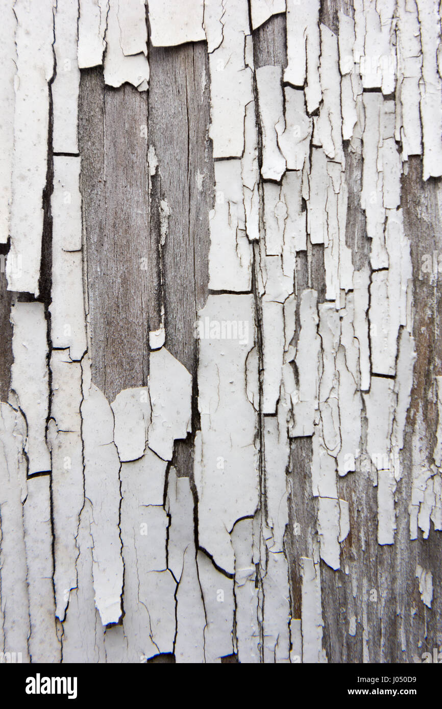 Old wooden planks with white color peeling off Stock Photo - Alamy