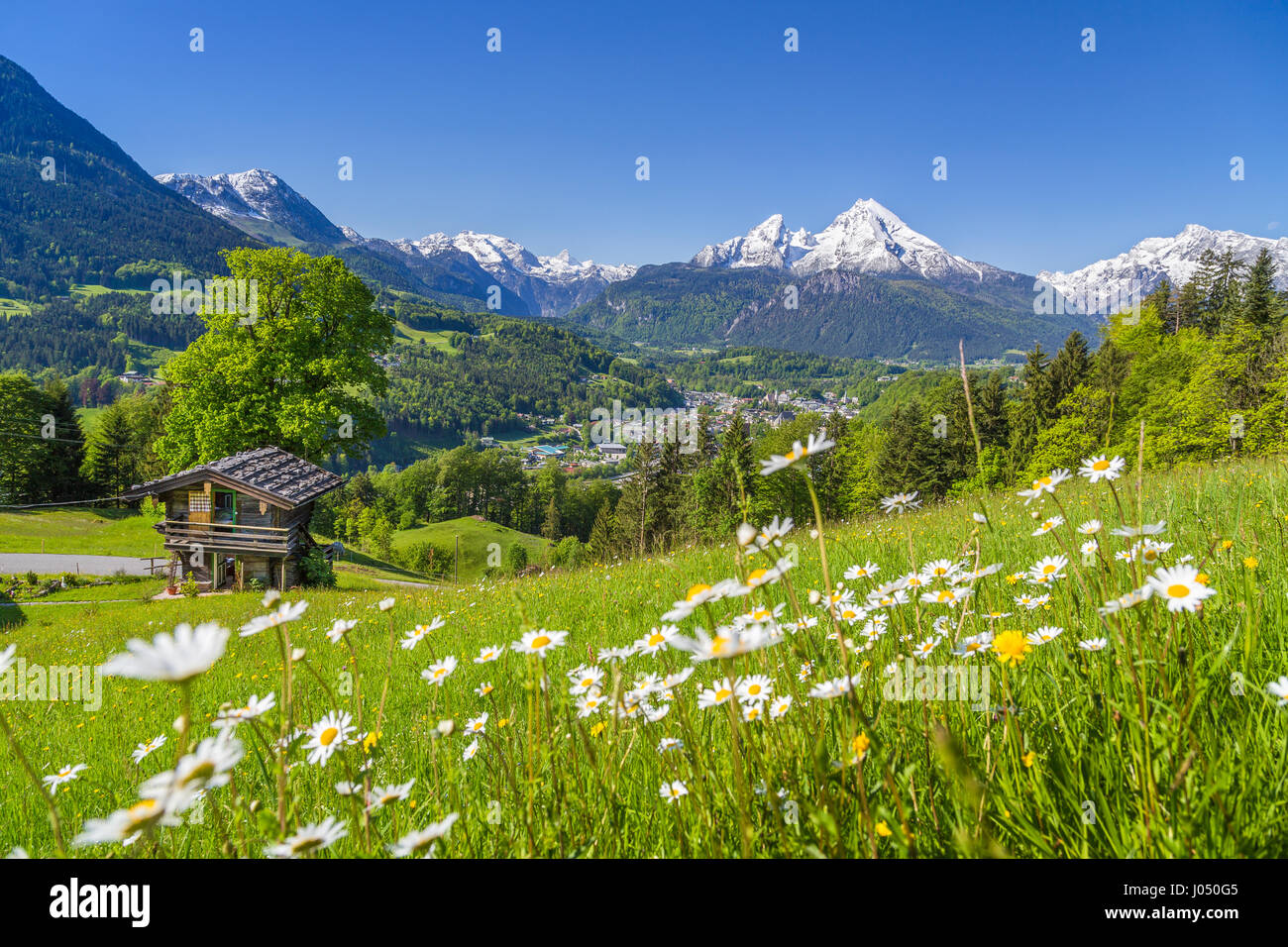 Idyllic mountain scenery in the Alps with traditional old mountain chalet and fresh green meadows in springtime Stock Photo
