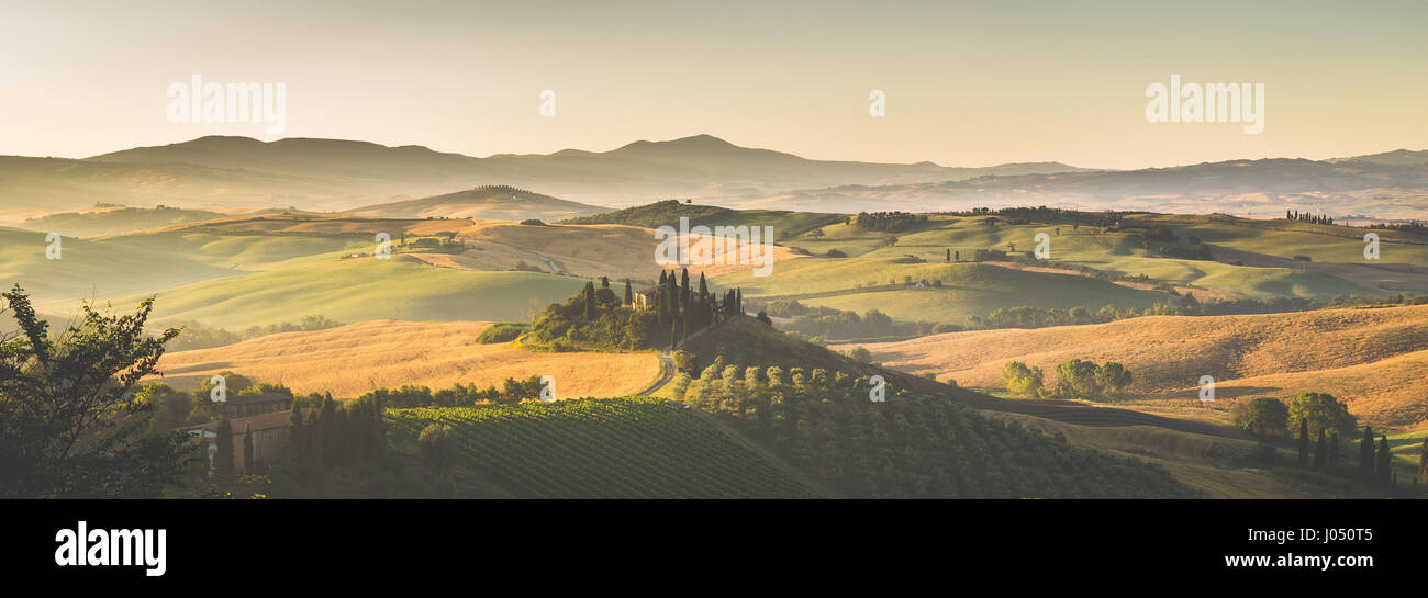 Classic view of scenic Tuscany landscape with famous farmhouse amidst idyllic rolling hills and valleys in beautiful golden morning light at sunrise Stock Photo