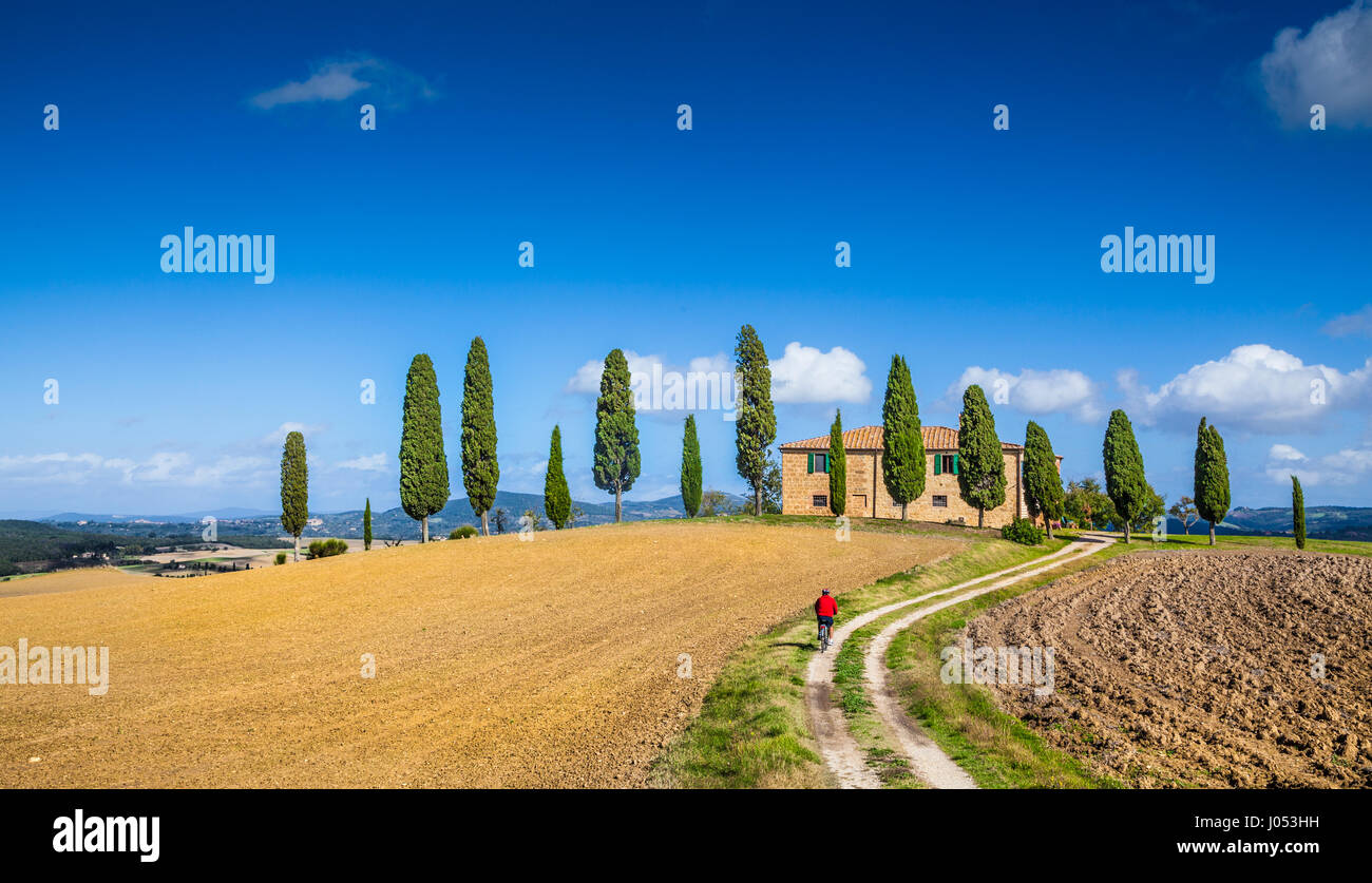 Classic panorama view of scenic Tuscany landscape with famous farmhouse and male cyclist on a country road on a beautiful sunny day in summer, Italy Stock Photo