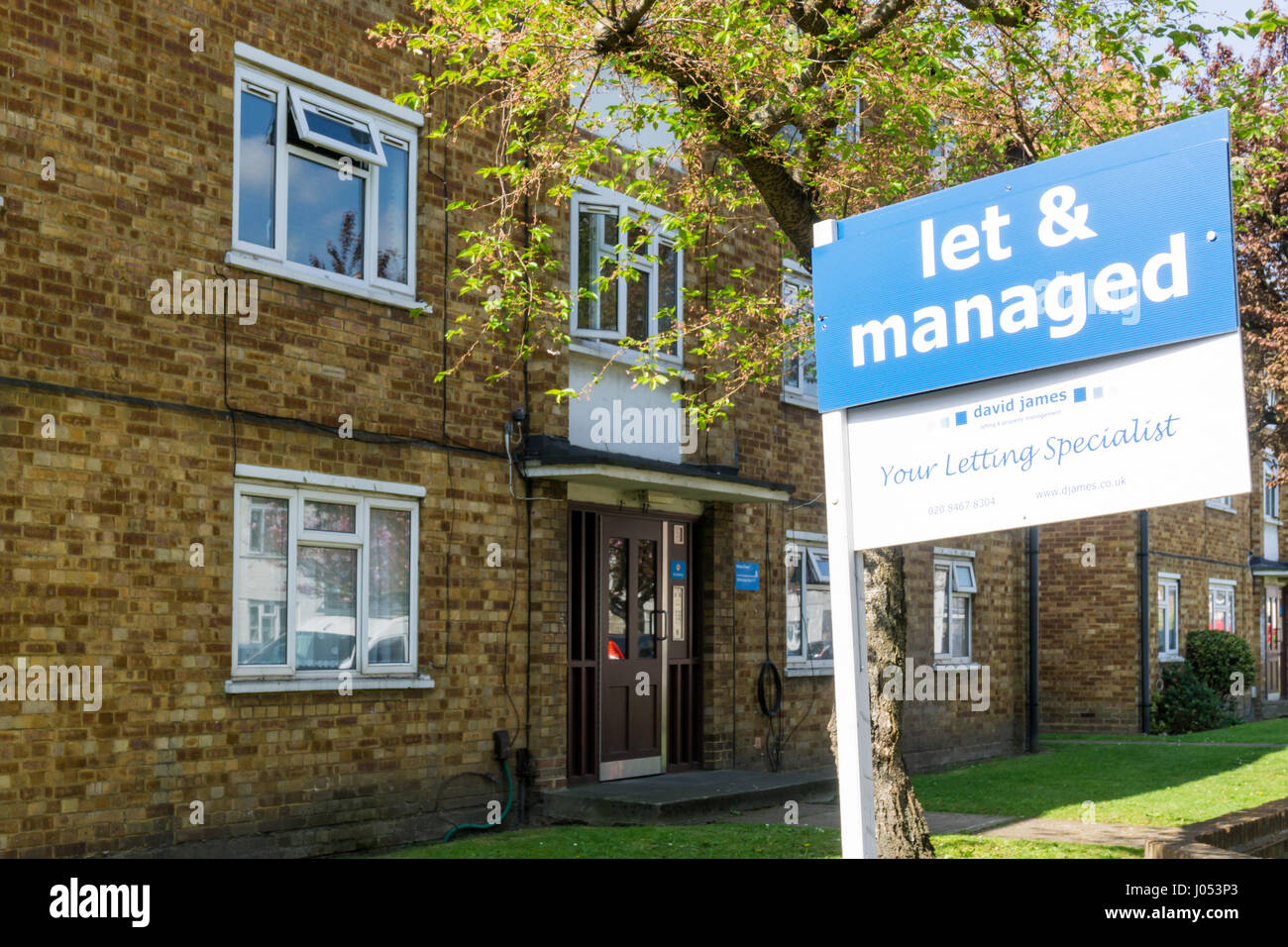 Let & Managed estate agency sign on houses. Stock Photo