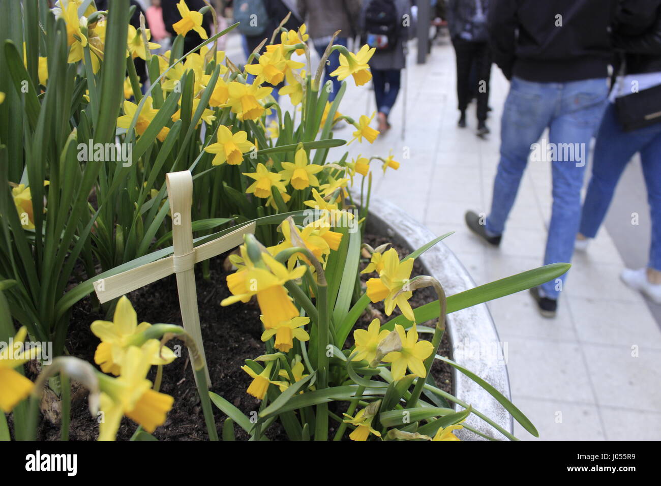 A cross among daffodils planted in a street decorative pot and crowds passing by Drottninggatan street. Stockholm city, Sweden. Stock Photo