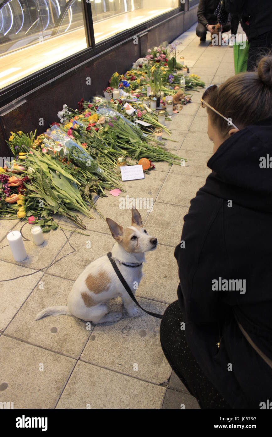 A dog and his master show their sympathy to the memory of a dog named Iggy, which lost his life in Drottninggatan street by the terrorist truck attacker in Stockholm city. Sweden 9 April 2017. Stock Photo